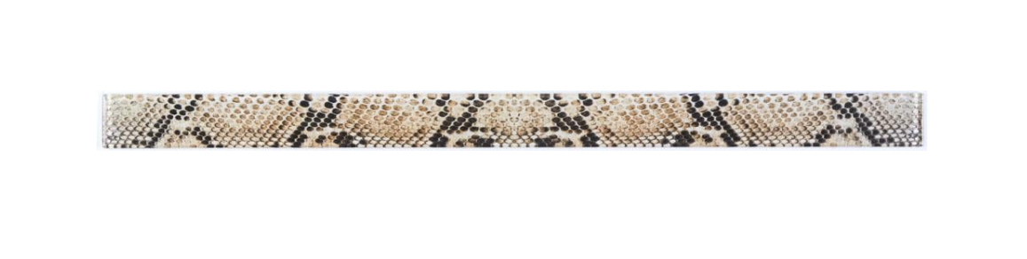 Фриз стеклянный Kotto Ceramica GFР 6050038 Print 38 50x600x8 мм
