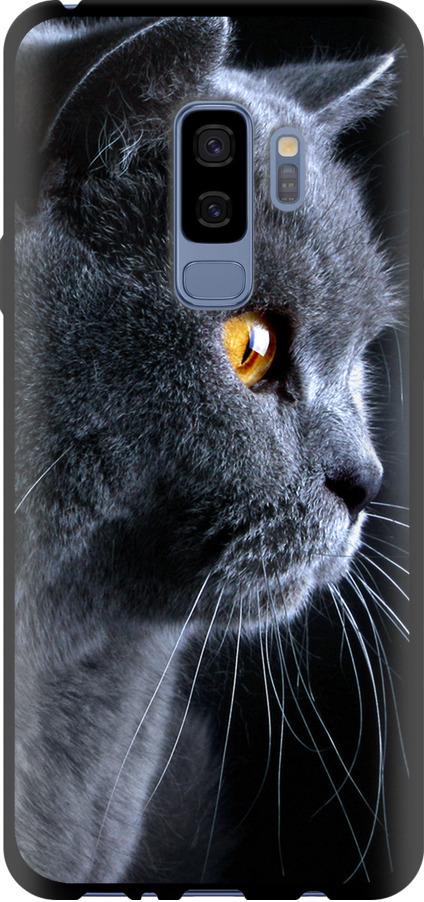 Чехол на Samsung Galaxy S9 Plus Красивый кот (3038b-1365-42517)