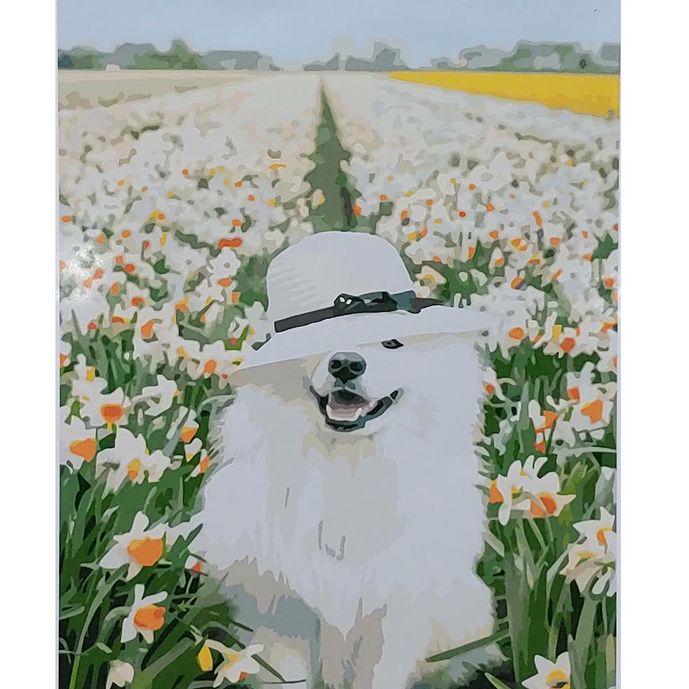 Картина по номерам Strateg Премиум Самоед среди нарциссов с лаком 40х50 см (SY6833)