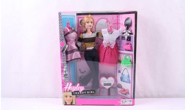 Кукла ToyCloud Hayley с одеждой и сумочками (HB878-4)