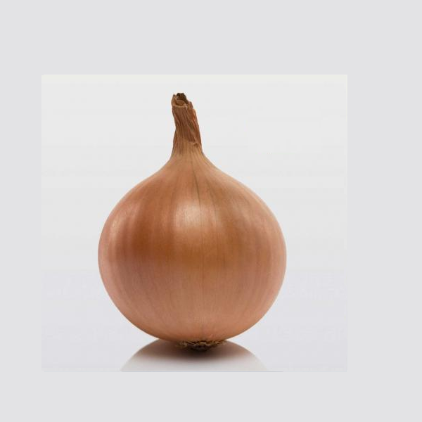 Цибуля сівок BroerB.V. Трой ф1 10-21 мм 100 г (1820492217)