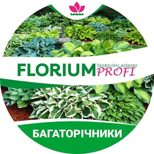 Удобрение для многолетников Florium Profi универсальное 4 м 500 г