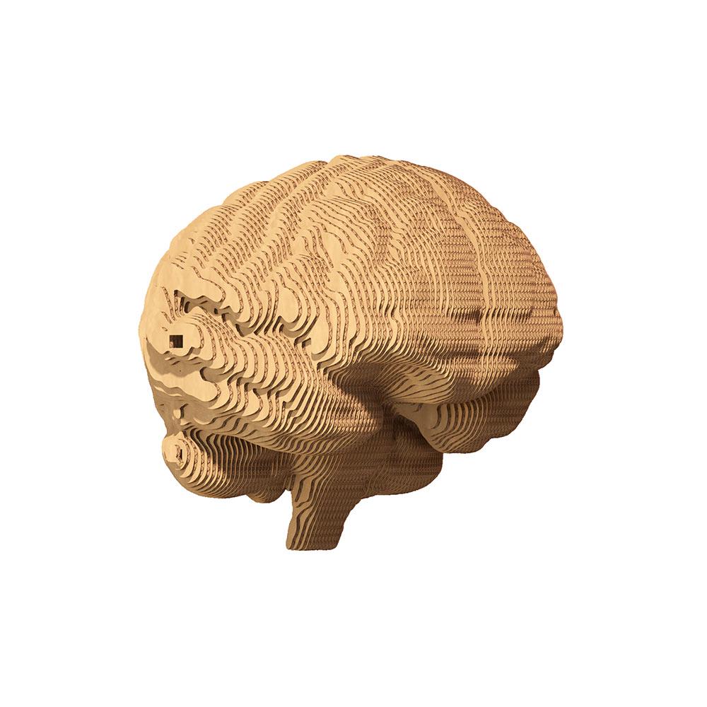 Конструктор картонный Cartonic 3D Puzzle Brain - фото 7