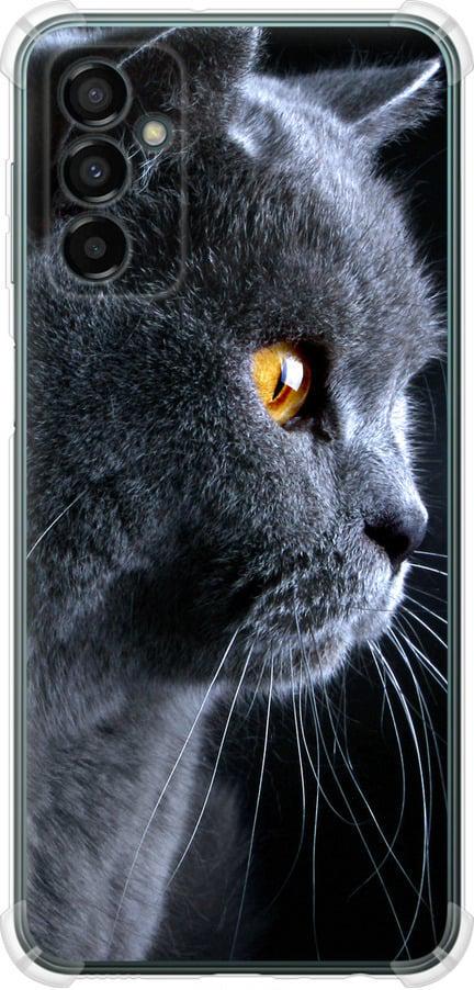 Чехол на Samsung Galaxy M13 M135 Красивый кот (3038sp-2765-42517)