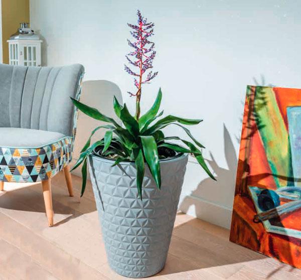 Горшок для цветов Form-Plastic Diamant-40 Белый (2920-011) - фото 3 Горшок для цветов Form-Plastic Diamant-40 Белый (2920-011) - фото 3