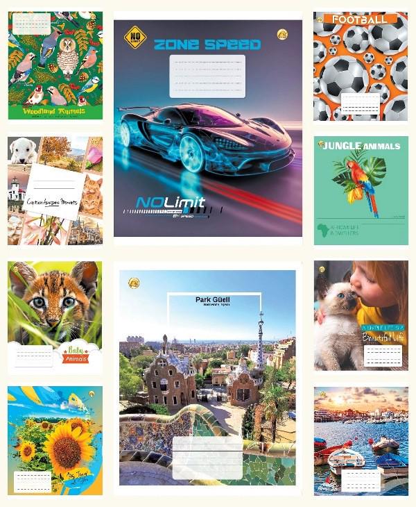 Зошити учнівські у лінійку Тетрада ТЕ42106 Мікс 12 арк. 25 шт. в уп. (MTT-183918)