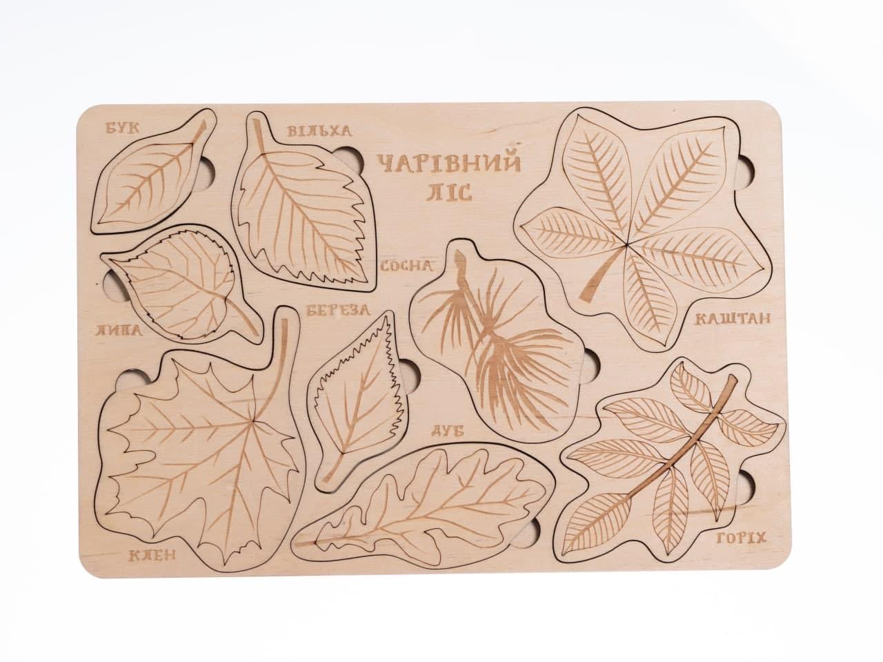 Вкладка-розмальовака Зробив Тато Чарівний ліс (RZ2102)