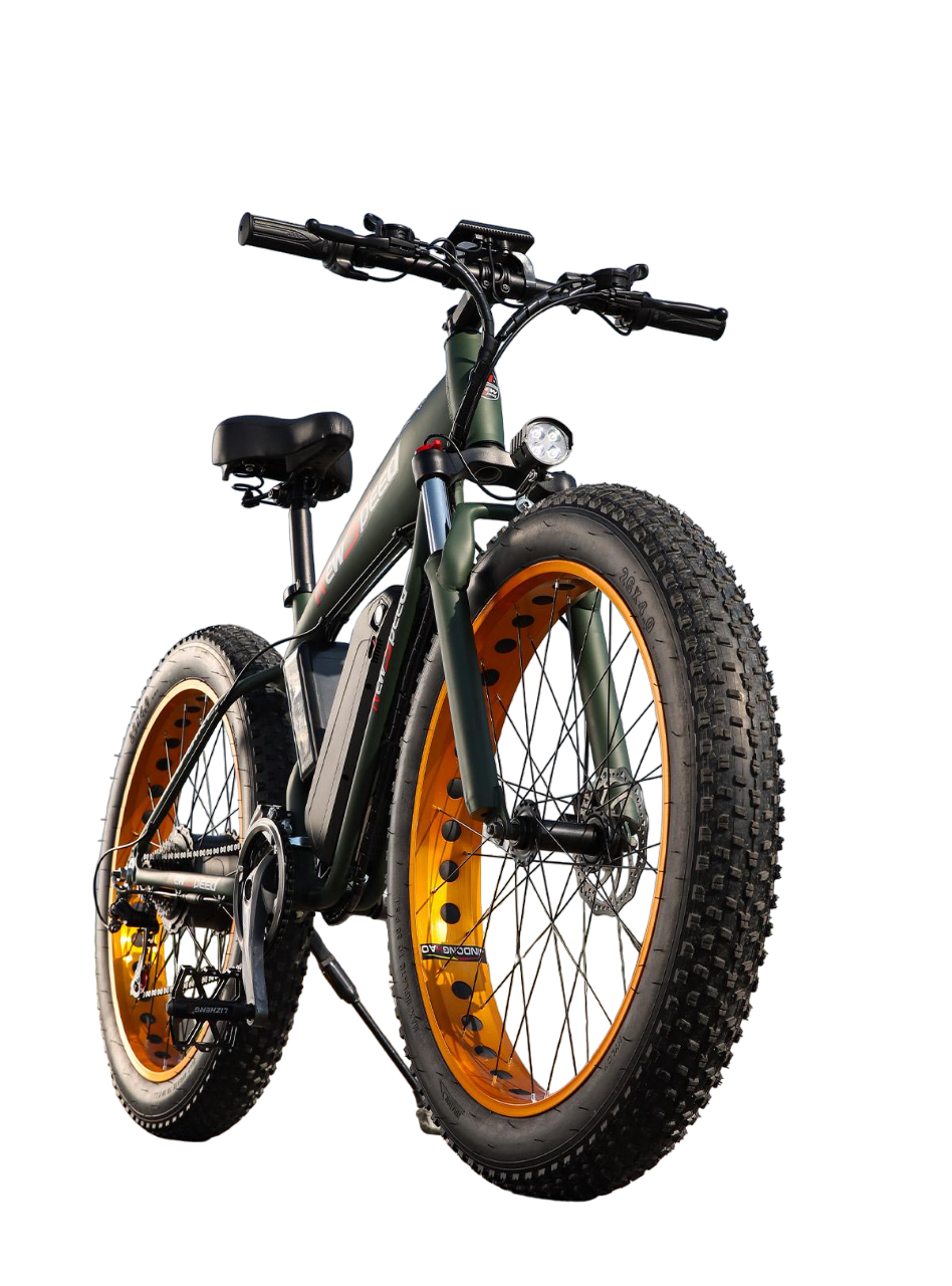 Електровелосипед Fatbike 8817 New Speed 1000W 48 V 13 Ah з широкими колесами для дорослих Хакі (66111)