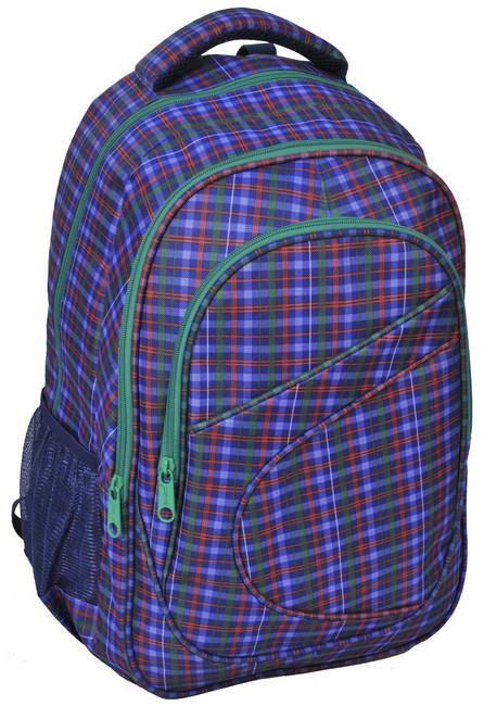 Рюкзак молодежный Paso 15-8115B 21 л Фиолетовый