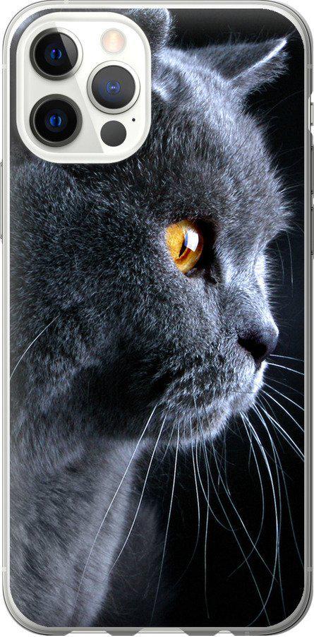 Чехол на iPhone 12 Красивый кот (3038u-2053-42517) Чехол на iPhone 12 Красивый кот (3038u-2053-42517)