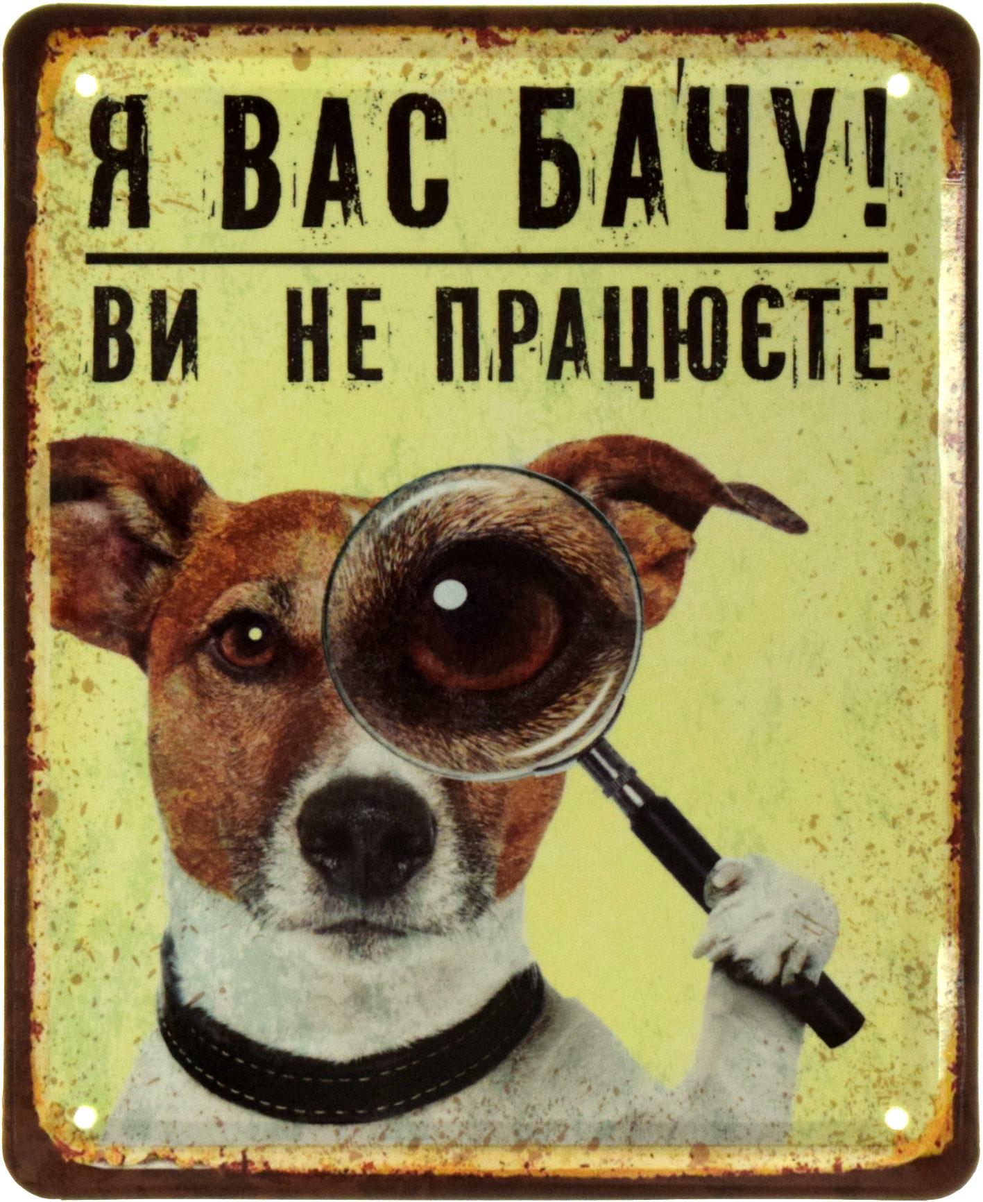 Табличка металлическая Я Вас Бачу! Ви Не Працюєте 18x22 см