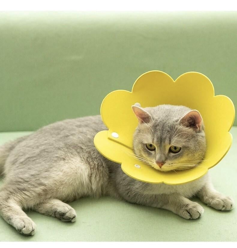 Воротник-ошейник для собак и кошек Flower для заживления ран L Yellow (354534) - фото 3