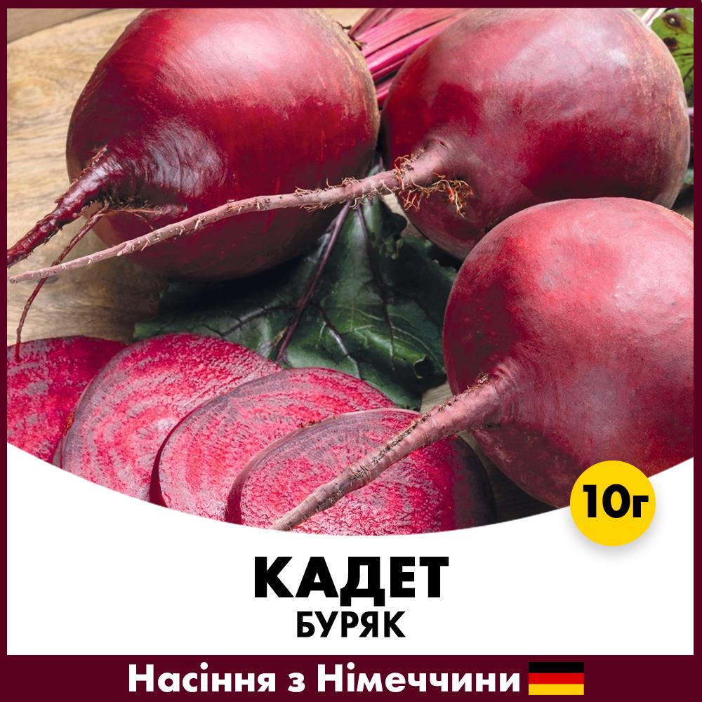 Семена свеклы Satimex Столовый Кадет 10 г (R51001)