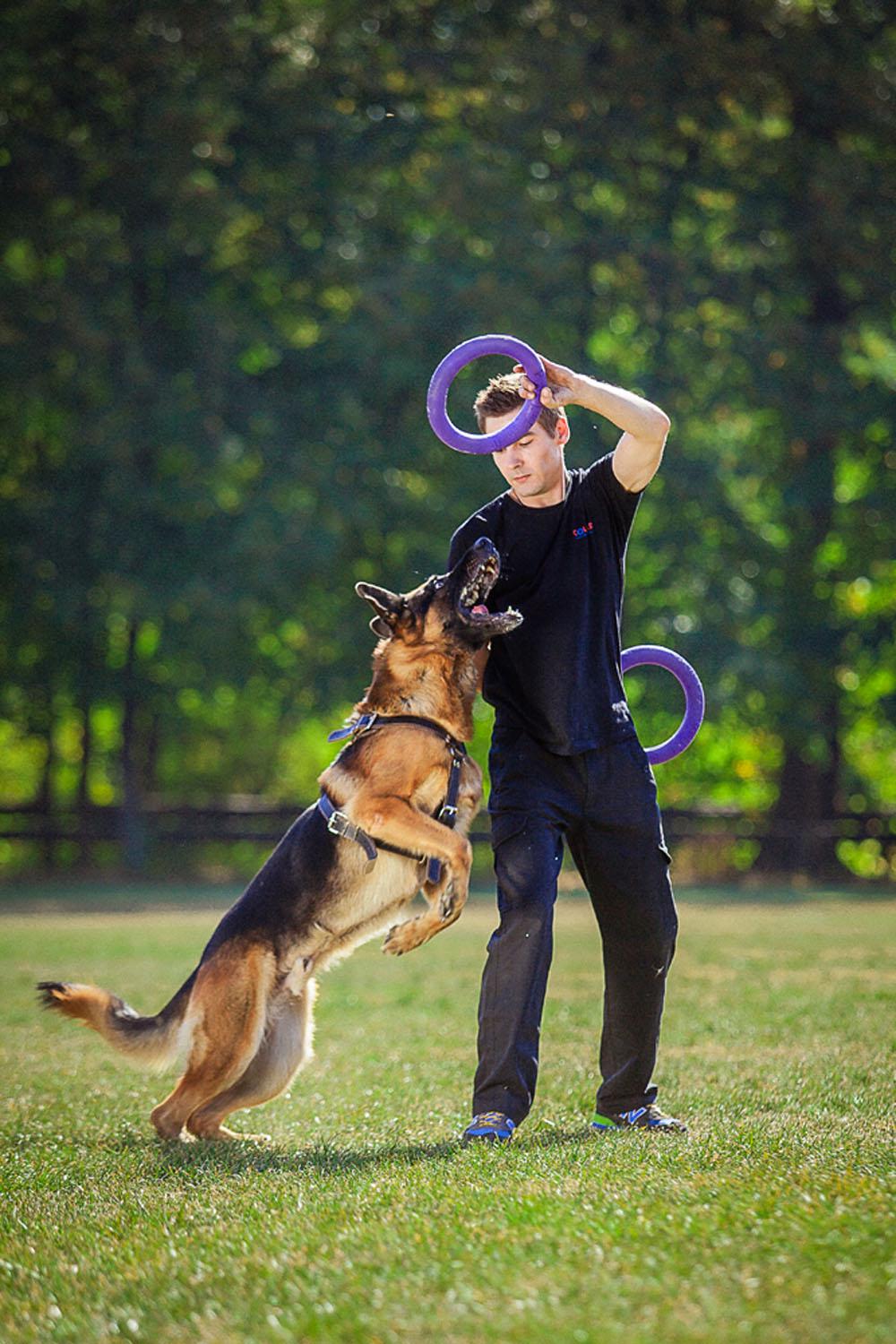 Тренувальний снаряд для собак Puller Standard 28 см (6490) - фото 14