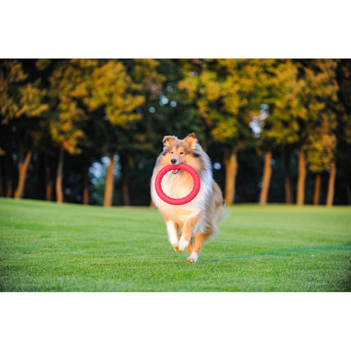 Кольцо для апортировки PitchDog30 D 28 см Розовый (25881093) - фото 6