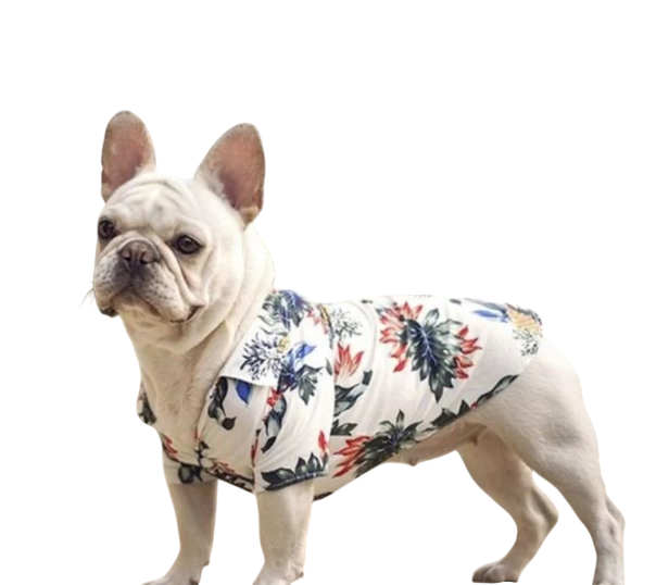 Рубашка для собак малых пород 23,5х21 см Белый Рубашка для собак малых пород 23,5х21 см Белый