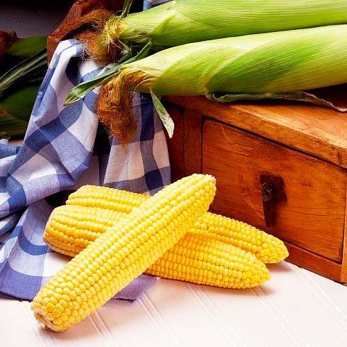 Семена Кукурудза Florium Цукрова Оверленд F1 (4198) Семена Кукурудза Florium Цукрова Оверленд F1 (4198)