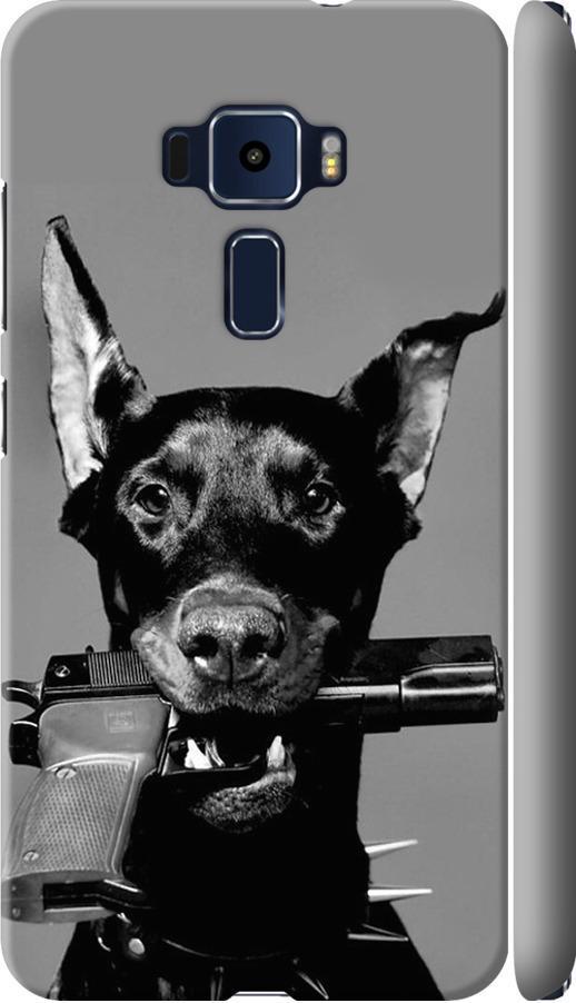 Чохол на Asus Zenfone 3 ZE520KL Доберман (2745m-449-42517)