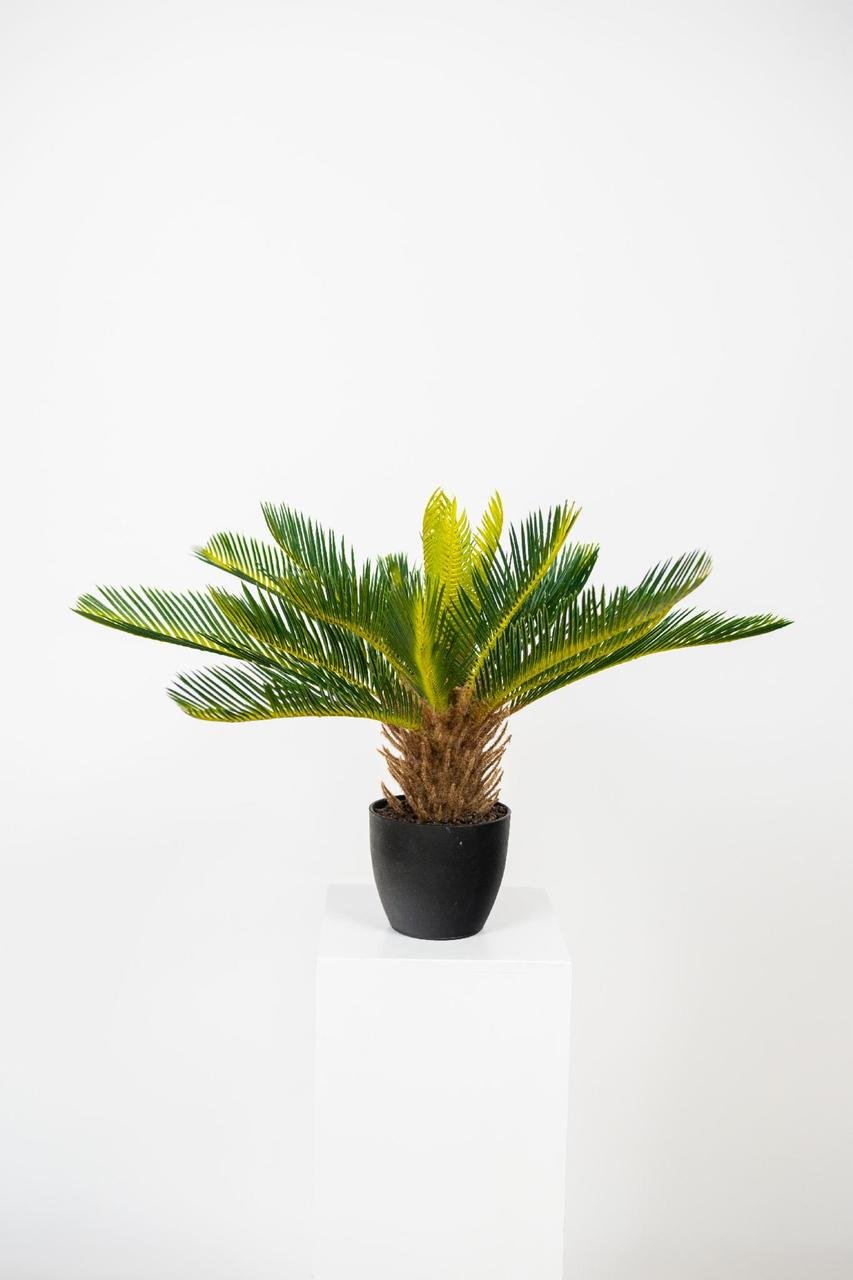 Искусственное растение Greenflowers 211881 Цикас Саговая пальма комнатная