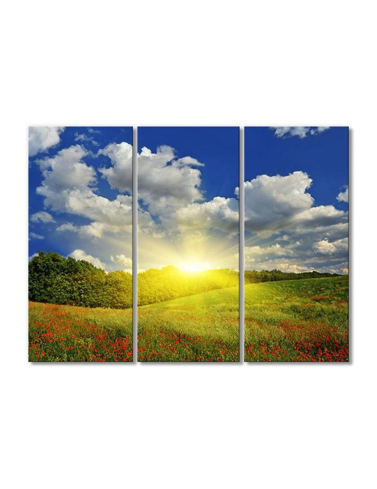 Картина модульная Солнечные лучи над маковым полем 3 модуля 50x75 см