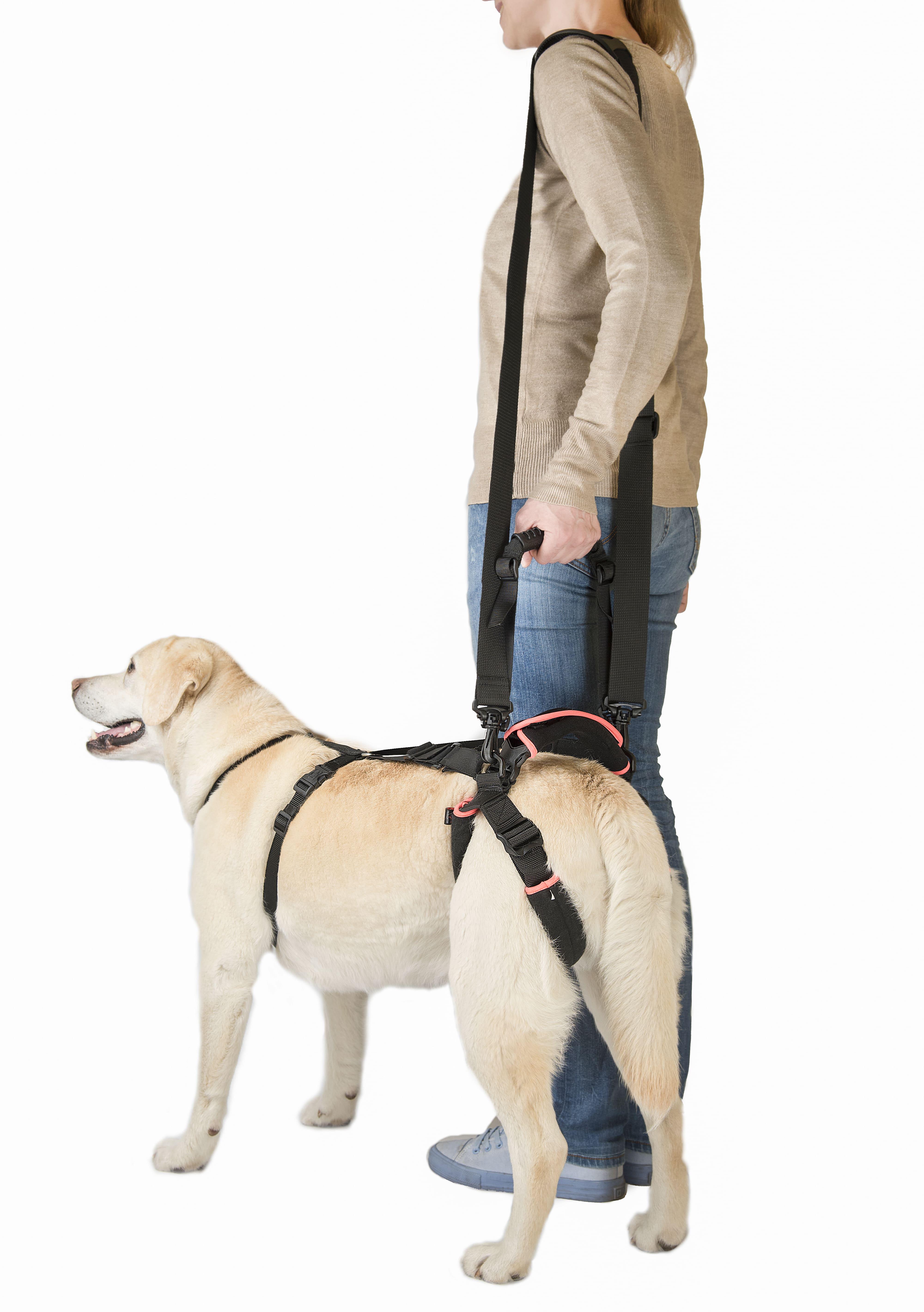 Підтримка для задніх лап Frakishtak кільцями L (28063858)