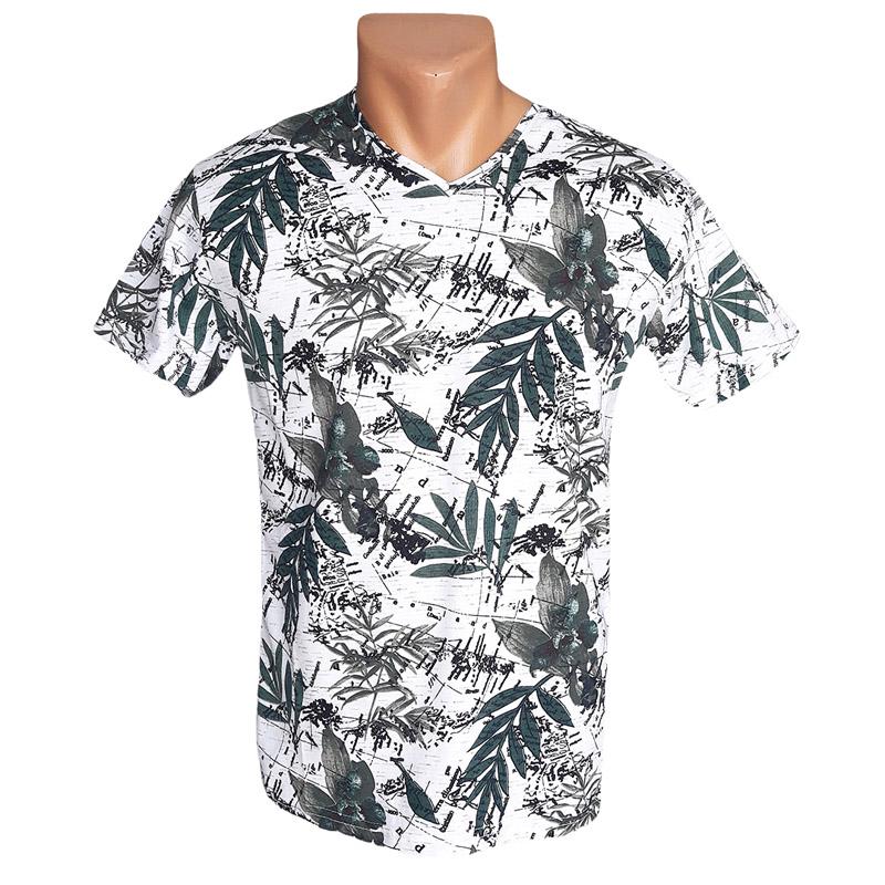 Футболка Leonidas M Комбинированный (5927)