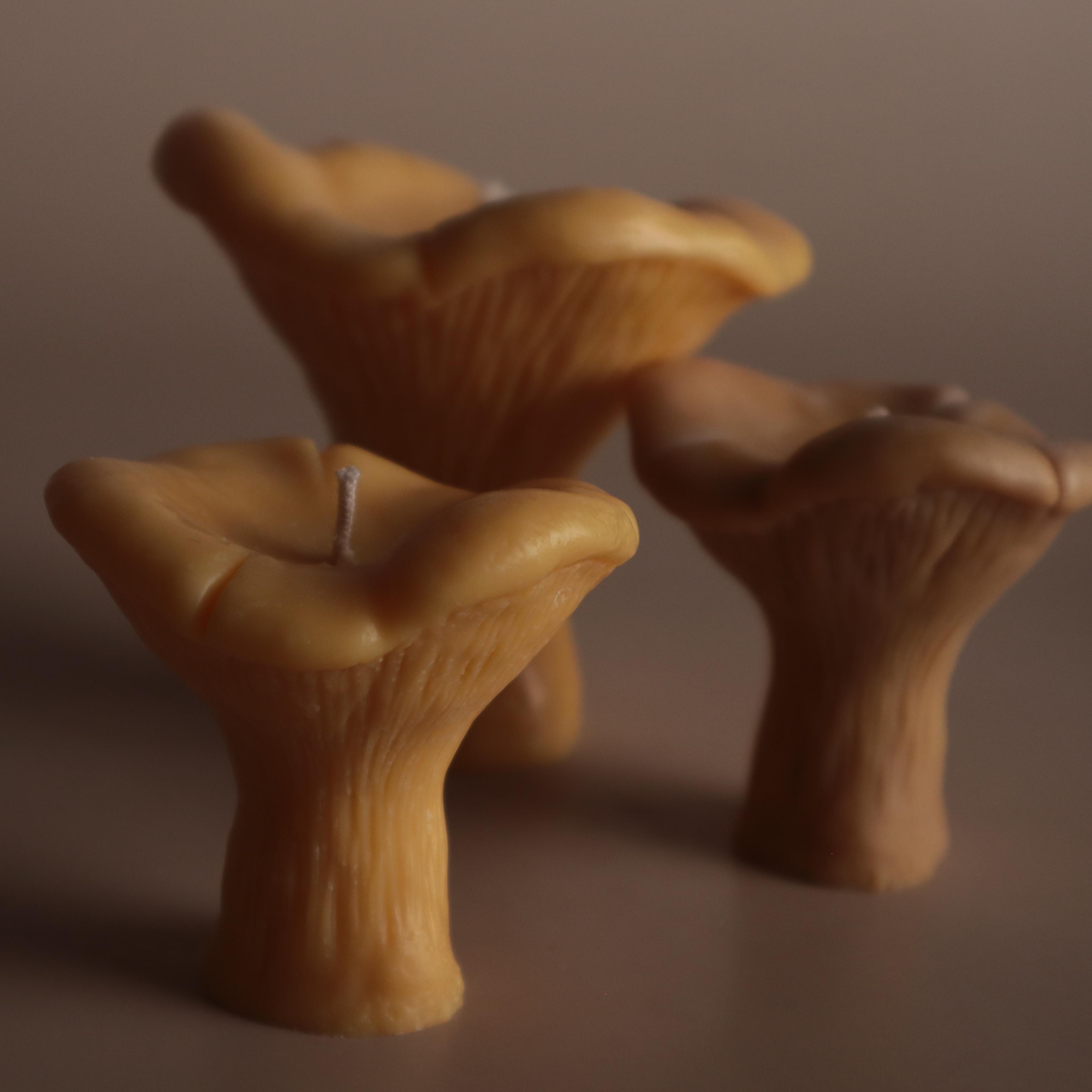 Подарунковий набір аромасвічок Wax Harmony Ваніль Лисички (3000441)