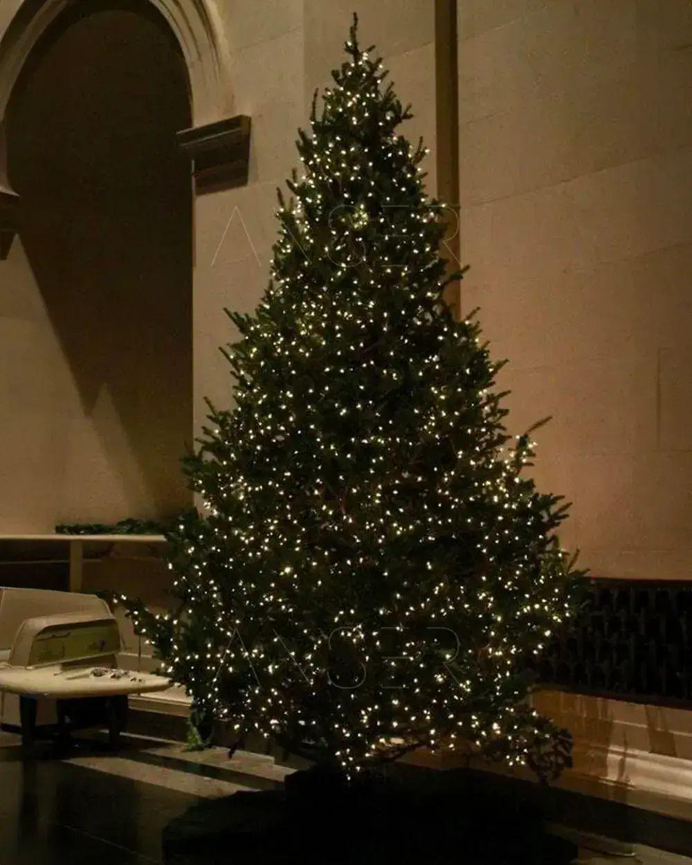 Светодиодная гирлянда Роса 200 м 2000 LED 10 Вт 220В IP44 с пультом управления свечение тепло-белого цвета на зеленом проводе (opt-104960) - фото 3