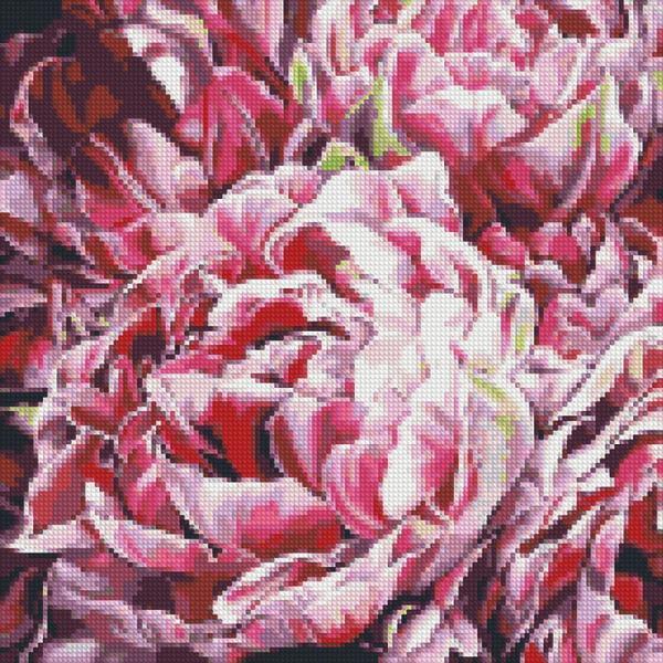 Алмазная мозаика Идейка Буйство красок 40х40 см (AMO7078)