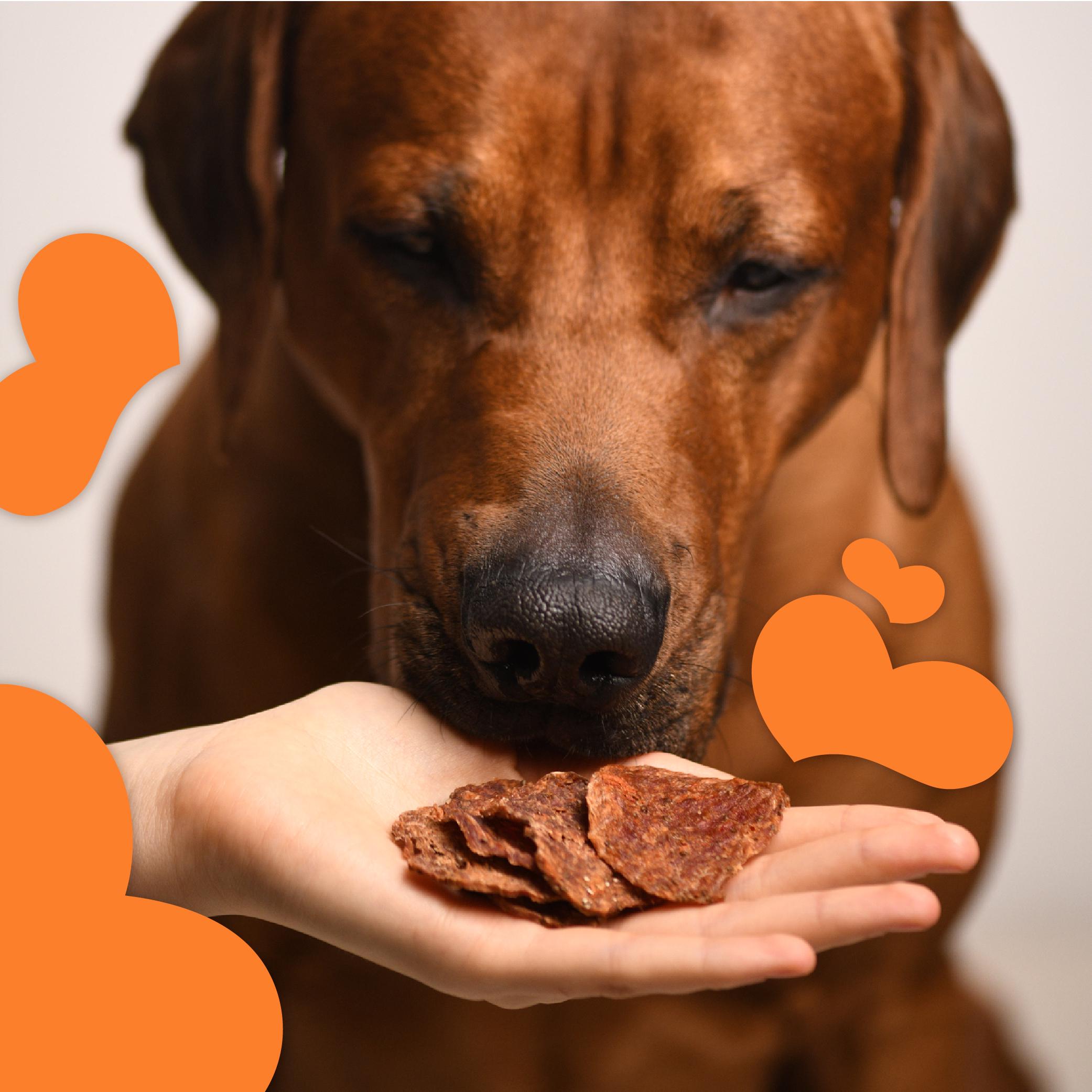 Лакомства для собак Mavsy Refined jerky DUCK CHIPS WITH CHIA SEEDS AND CARROTS чипсы из утки с семенами чиа и морковью от 3-х месяцев 50 г (24628292) - фото 6