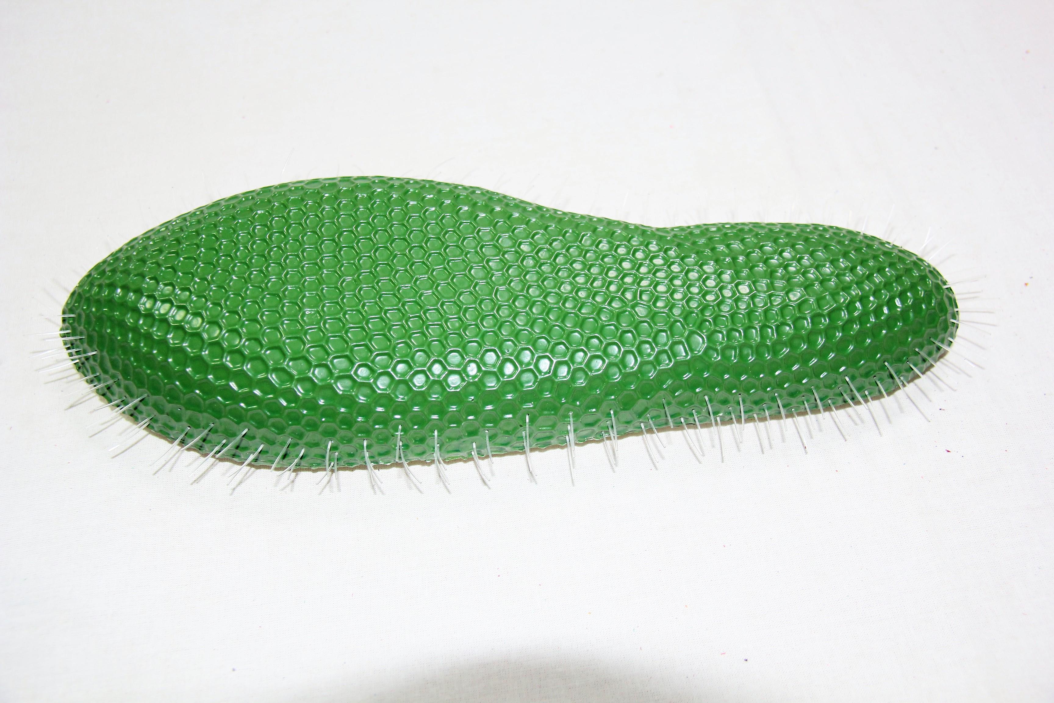 Модель Інфузорія Туфелька Руді пластикова 37х12 см (Д915у-3) - фото 2 Модель Інфузорія Туфелька Руді пластикова 37х12 см (Д915у-3) - фото 2