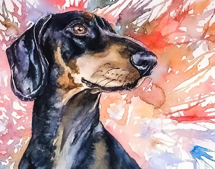 Картина по номерам "Такса" 50x40 см (РНК-486)