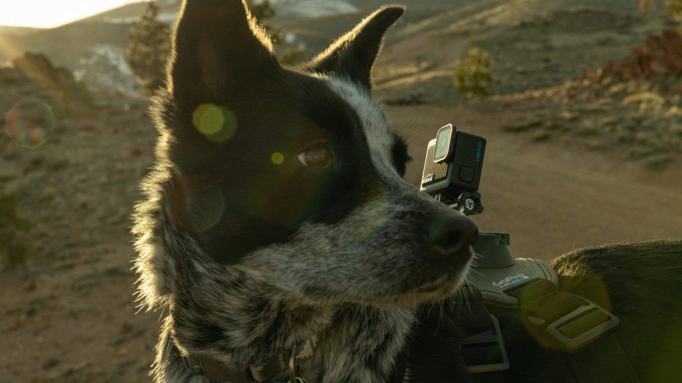 Екшн-камера GoPro HERO (CHDHF-131-EU) - фото 8