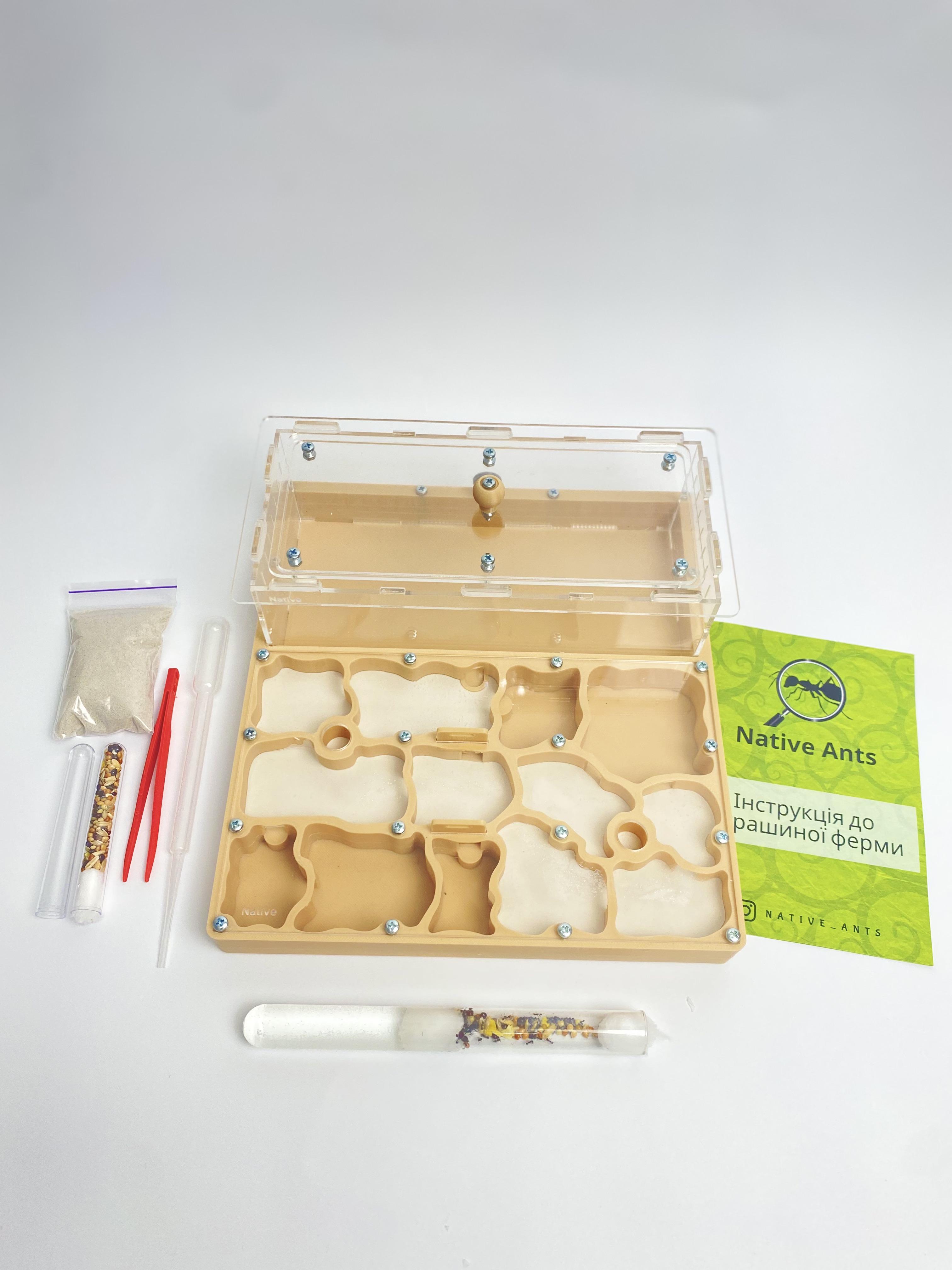 Стартовий набір для новачків Мурашина ферма "XL" з мурахами Messor muticus/аксесуарами та кормом Бежевий (2679584363)