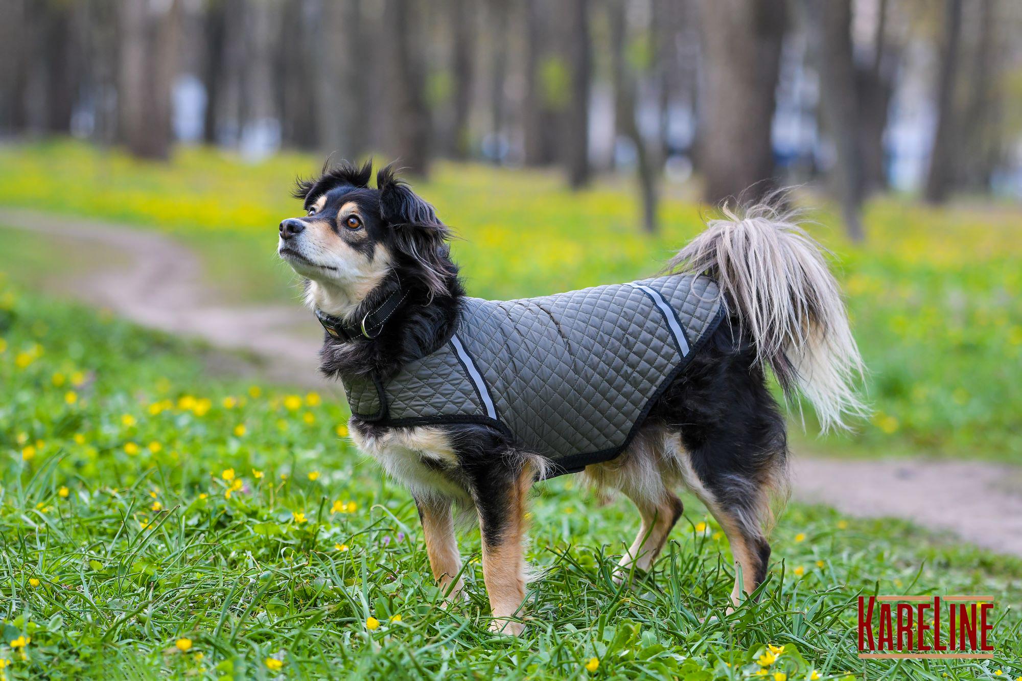 Попона KARELINE из стеганой плащевки на флисе ХХS (90030/15) - фото 4 Попона KARELINE из стеганой плащевки на флисе ХХS (90030/15) - фото 4