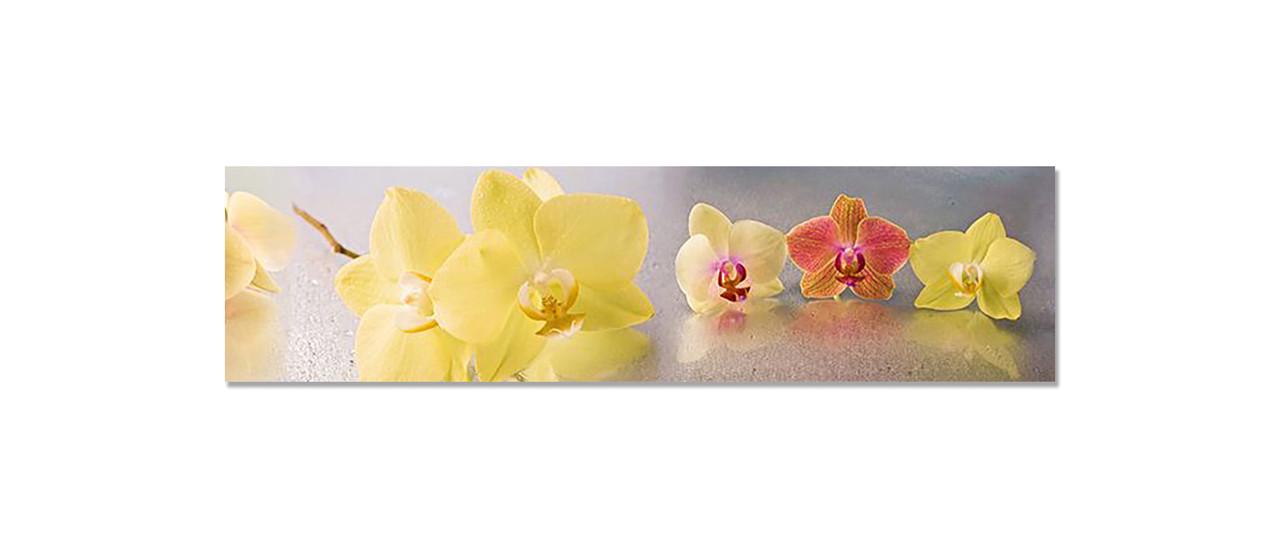 Фартук кухонный Пастельные орхидеи 65х250 см Желтый Фартук кухонный Пастельные орхидеи 65х250 см Желтый