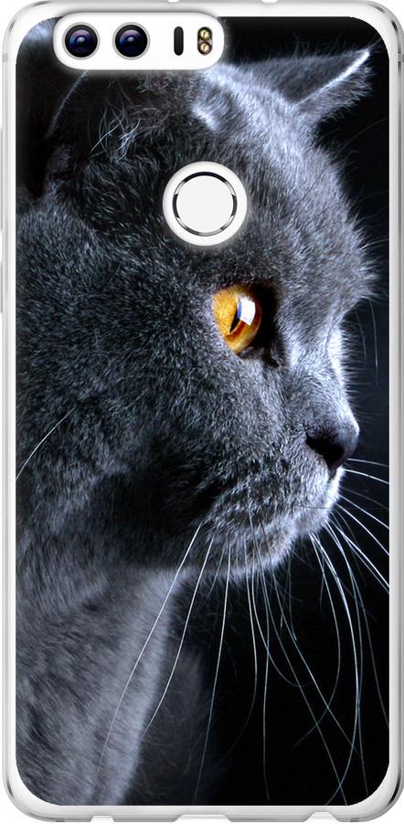Чохол на Huawei Honor 8 Гарний кіт (3038u-351-42517)