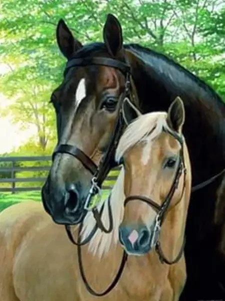 Алмазна вишивка Закохана пара коней повна викладка 5D 30х40 см (2110173440)