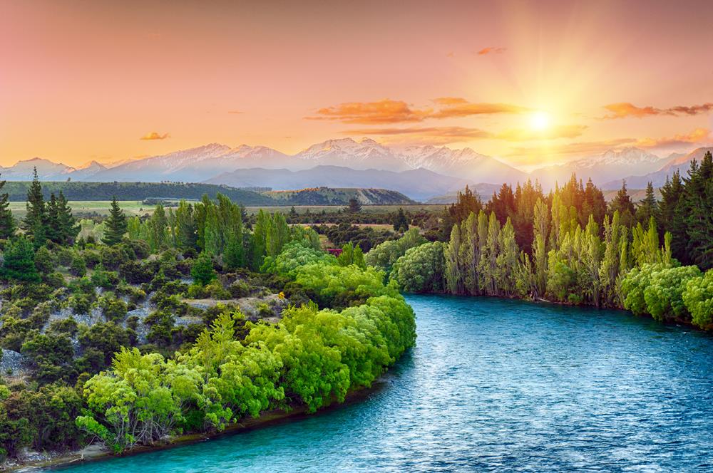 Картина Природа PR193 35х55 см
