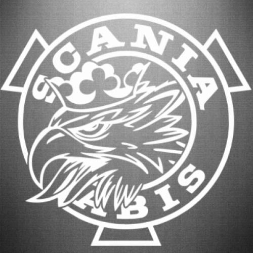 Наклейка Scania Vabis logo 45x41,7 см Белый (21560648)