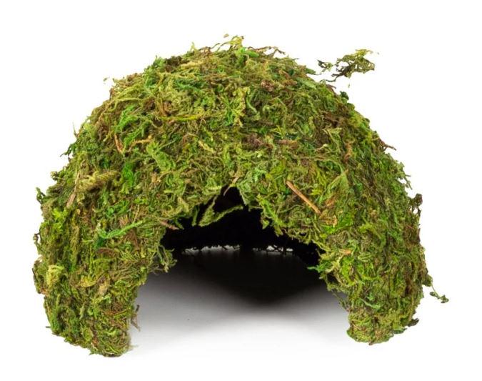 Укрытие из мха Repti-Zoo Natural Mossy Dome M 14x10,5 см (ERS25M) Укрытие из мха Repti-Zoo Natural Mossy Dome M 14x10,5 см (ERS25M)