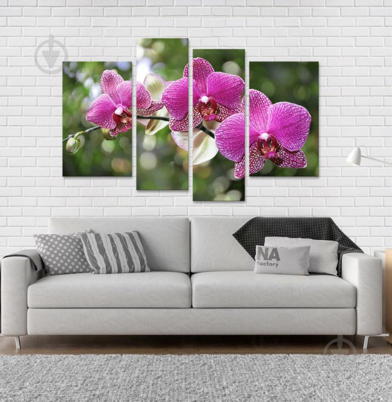 Модульна картина Poster-land Квіти Орхідея Art-82_4