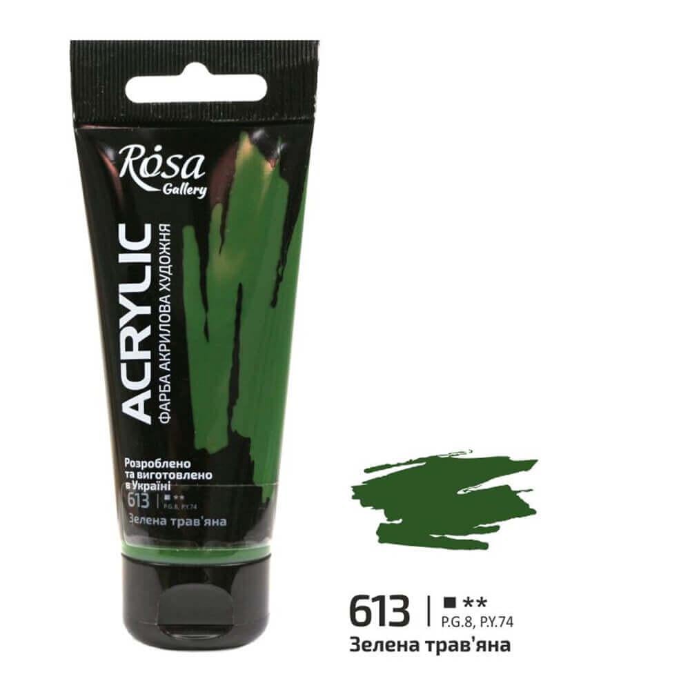 Акриловая краска ROSA Gallery 613 60 мл Зеленый травяной (3241613) - фото 1 Акриловая краска ROSA Gallery 613 60 мл Зеленый травяной (3241613) - фото 1