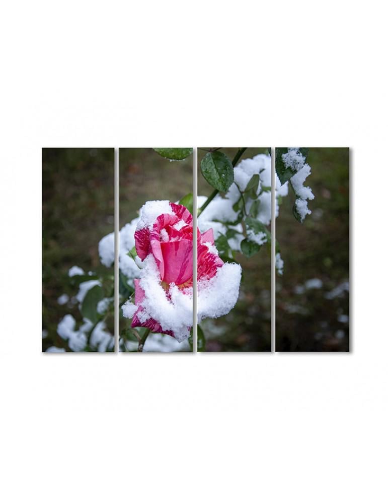Картина модульная Розы в снегу 4 модуля 120x180 см (092759cvety_i_rasteniya)