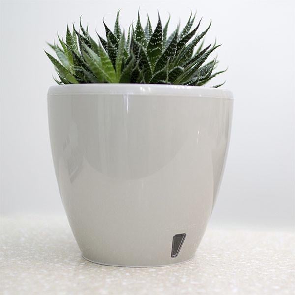 Горшок для цветов Santino DECO TWIN PLUS с картриджем 5,8 л Кремовый (DTWC58CRM) - фото 2 Горшок для цветов Santino DECO TWIN PLUS с картриджем 5,8 л Кремовый (DTWC58CRM) - фото 2