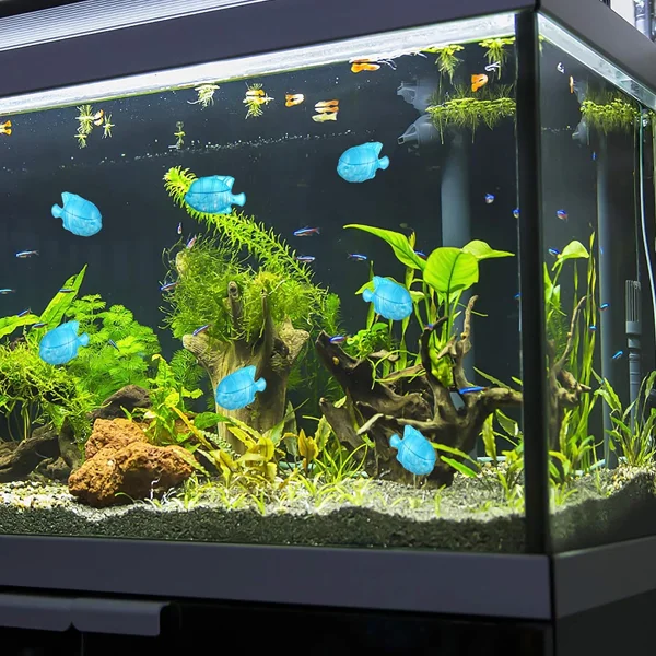 Набір рибок-фільтрів 5 шт. 6,45х4,45 см (J00151) - фото 8 Набір рибок-фільтрів 5 шт. 6,45х4,45 см (J00151) - фото 8