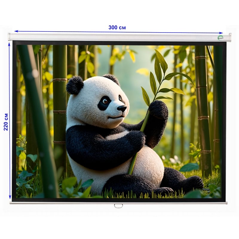 Екран проекційний EQUIPIFY PSBC150 настінний стельовий 150" 300x220 см 4:3 (tf2917) - фото 5 Екран проекційний EQUIPIFY PSBC150 настінний стельовий 150" 300x220 см 4:3 (tf2917) - фото 5