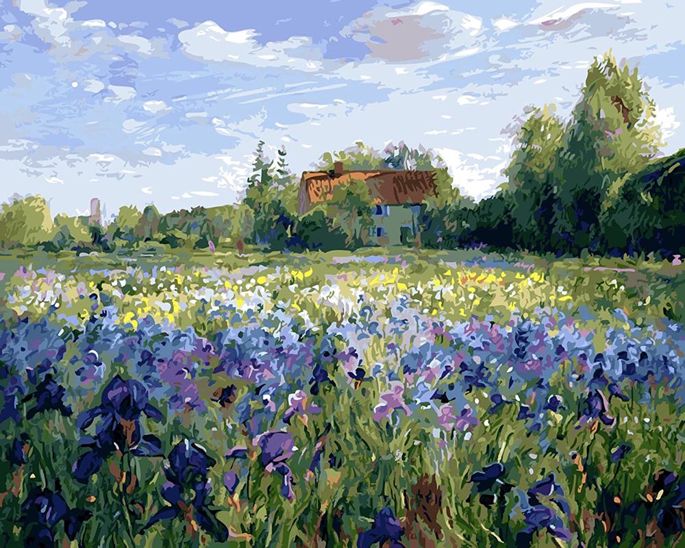 Алмазна мозаїка Поле ірисів 30x40 см (26078)