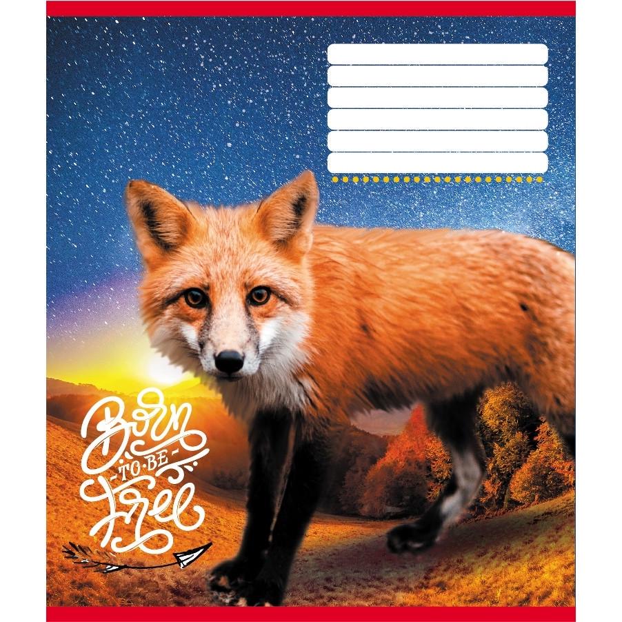 Зошит учнівський Leader Тварини 018-530247K-2 в клітинку 18 арк. (RLT55218)