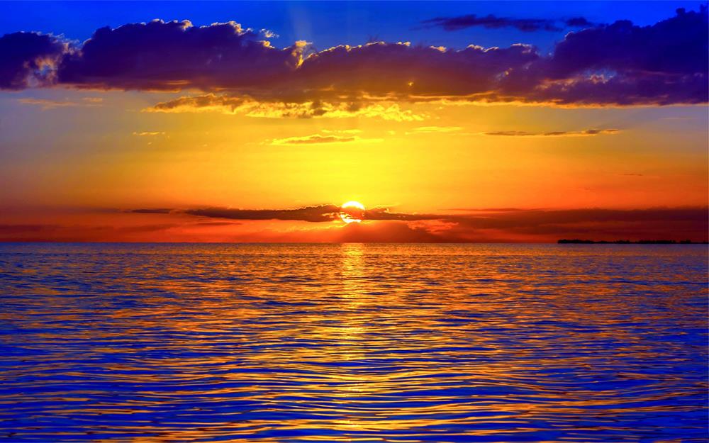 Картина Природа PR097 35х55 см